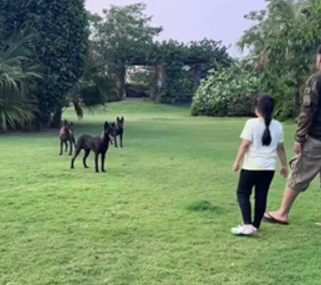Watch: MS Dhoni spends some time off with his family